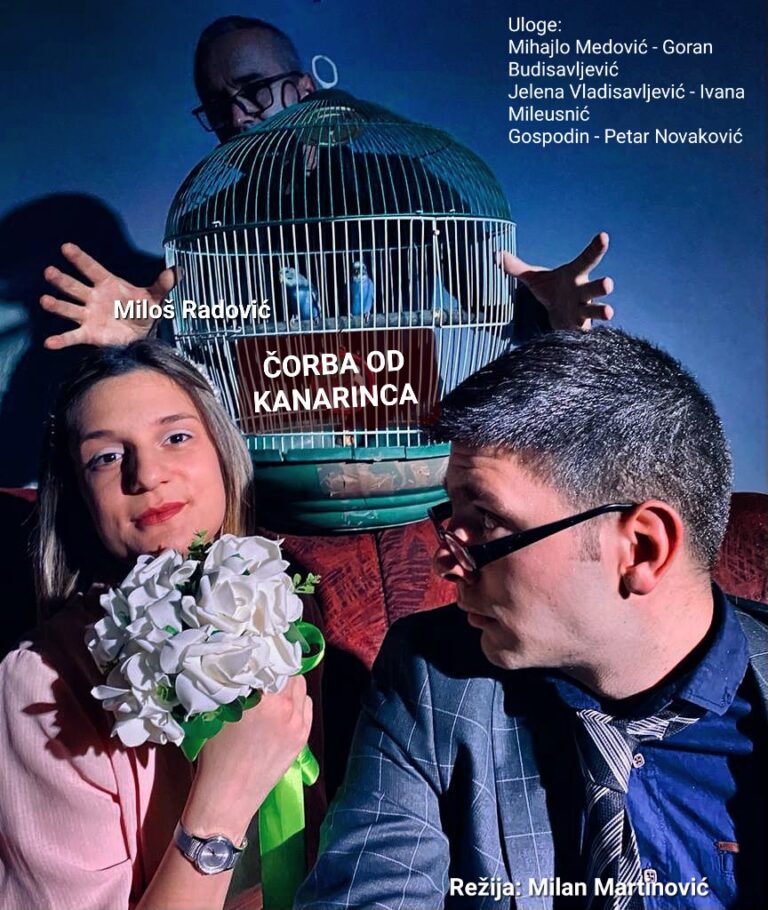 Представе 2 чорба од канаринца